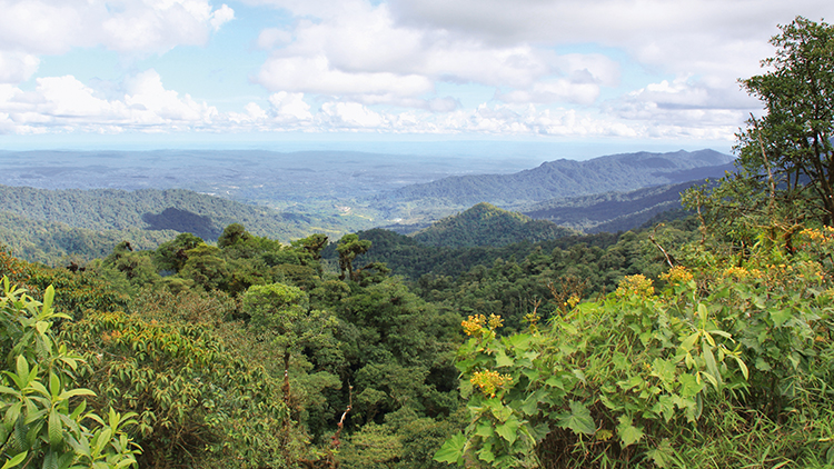 La forêt amazonienne en Équateur tourisme durable