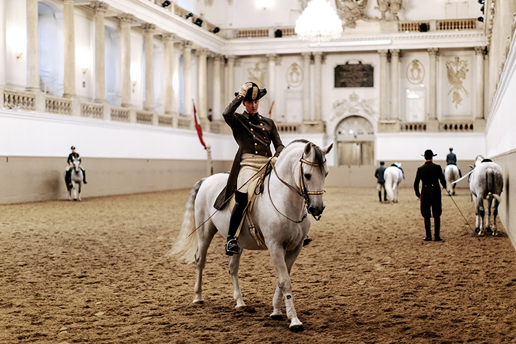 Lipizzan de l'École d’Équitation espagnole de Vienne voyage culturel