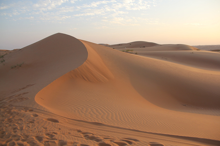 Les dunes du désert de Wahiba, dans le sultanat d'Oman accompagnateur Arts et Vie J.-M. Laurent