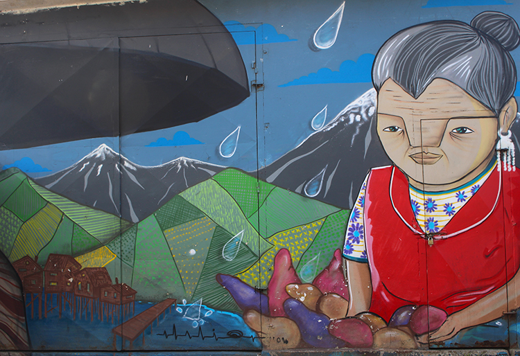 À Castro sur l'île de Chiloé au Chili art urbain arts et vie