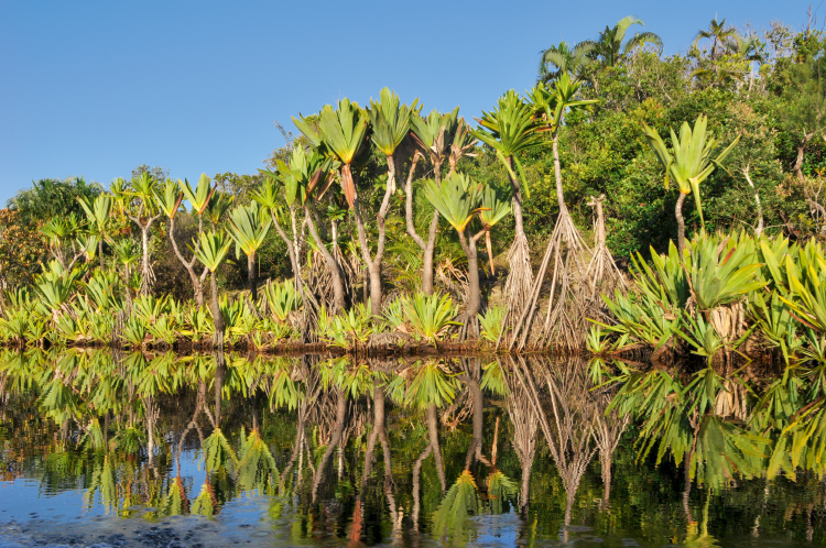 Le canal des Pangalanes, à Madagascar tourisme durable contribution carbone