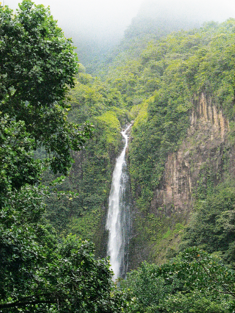 Les chutes du Carbet, dans le parc national de Guadeloupe
Arts et Vie voyages culturels