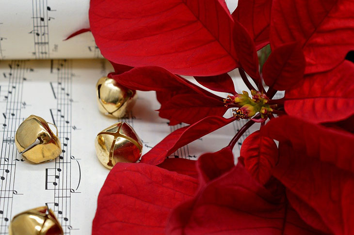 Chants de Noël
Arts et Vie
Voyages culturels