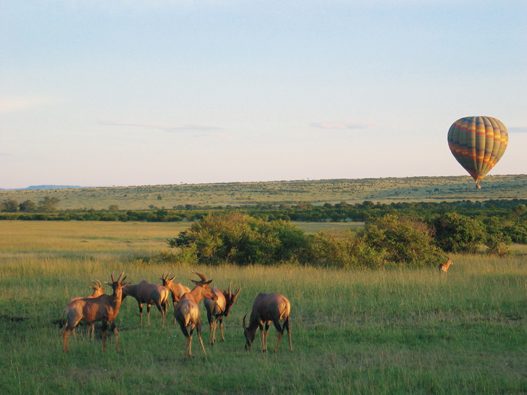 Paysage de la réserve nationale du Masaï Mara Kenya Arts et Vie voyages culturels