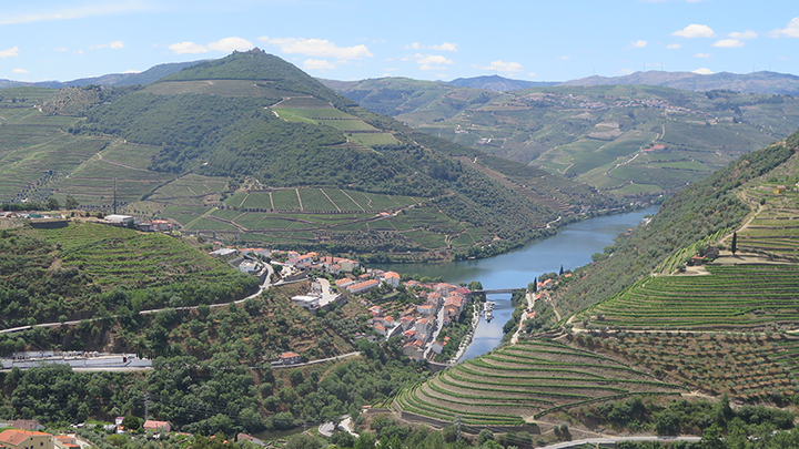 vignobles vallée du Douro