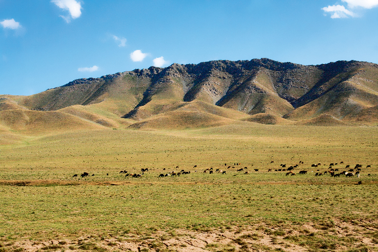 Les plaines de Chakrissabz en Ouzbékistan