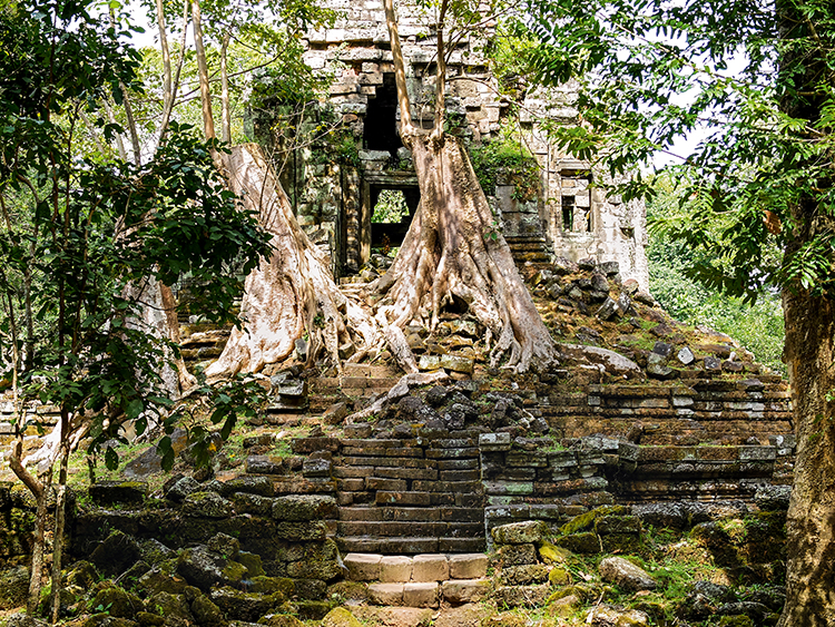 Les ruines d’Angkor envahies par la végétation